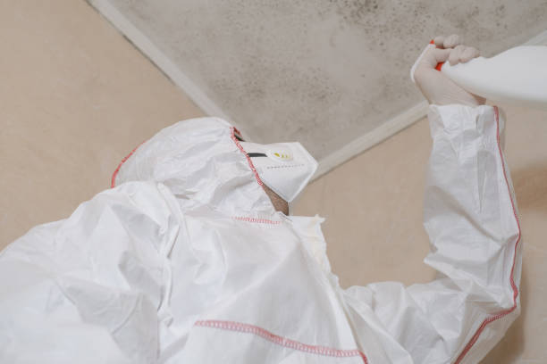 Best Crawl Space Mold Removal  in Elk Rapids, MI